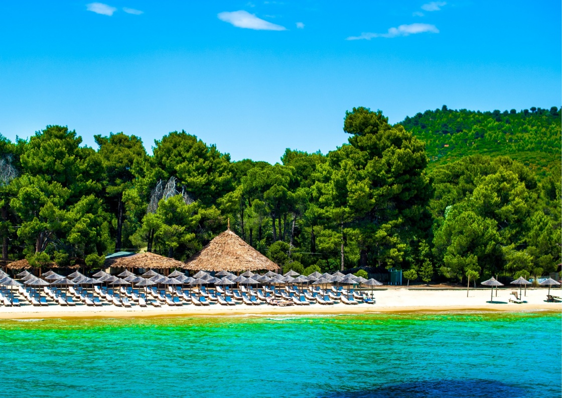 'Koukounaries beach, natural reserve pin, Greece' - Σκιαθος